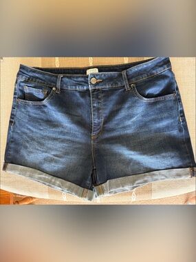 Time and Tru Dark Blue Denim Cuffed Jean Shorts